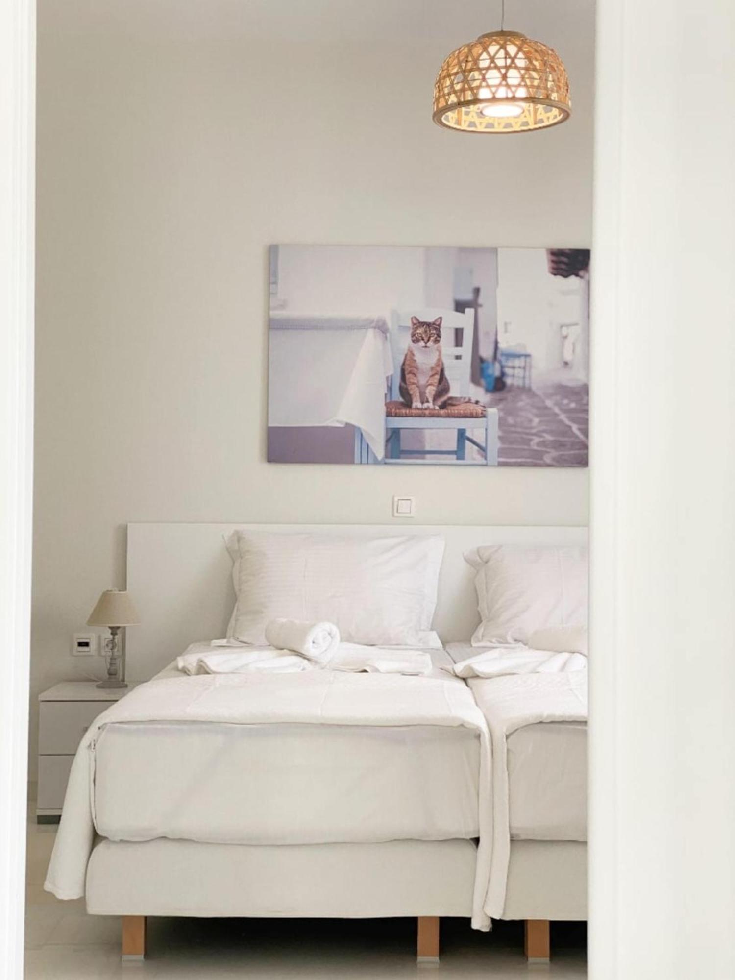 Heart Of Paros Apartments Εξωτερικό φωτογραφία